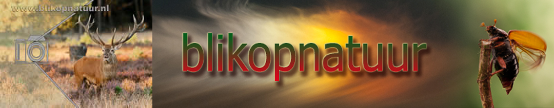 blikopnatuur.eu